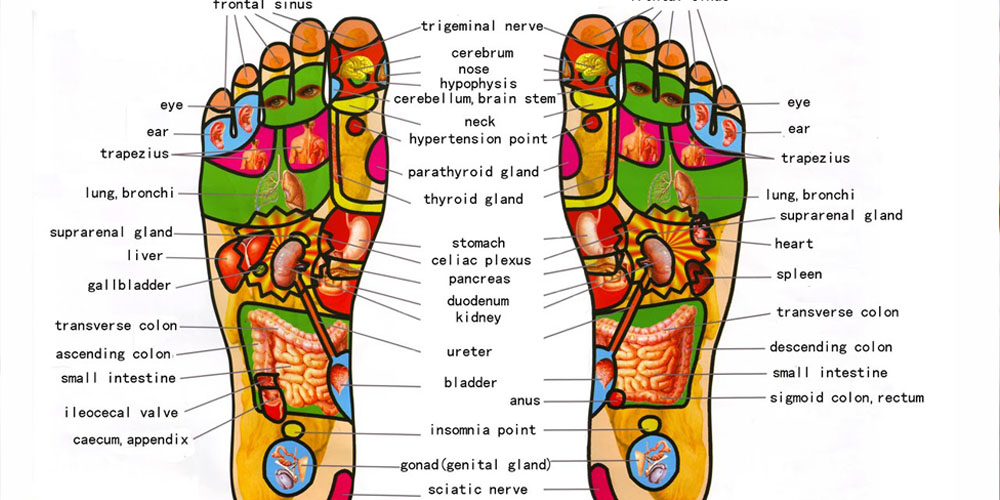 Reflexology Massage in Al Basha 